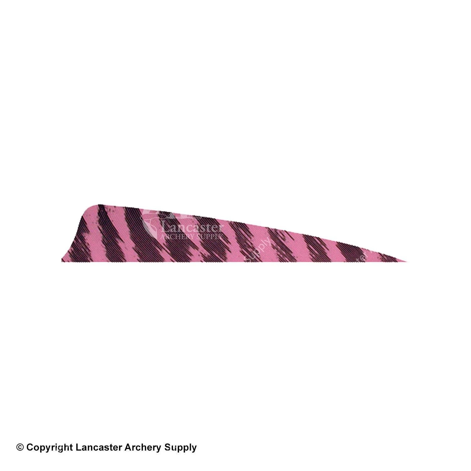 Gateway 4" Shield Barred Feather - Image 9