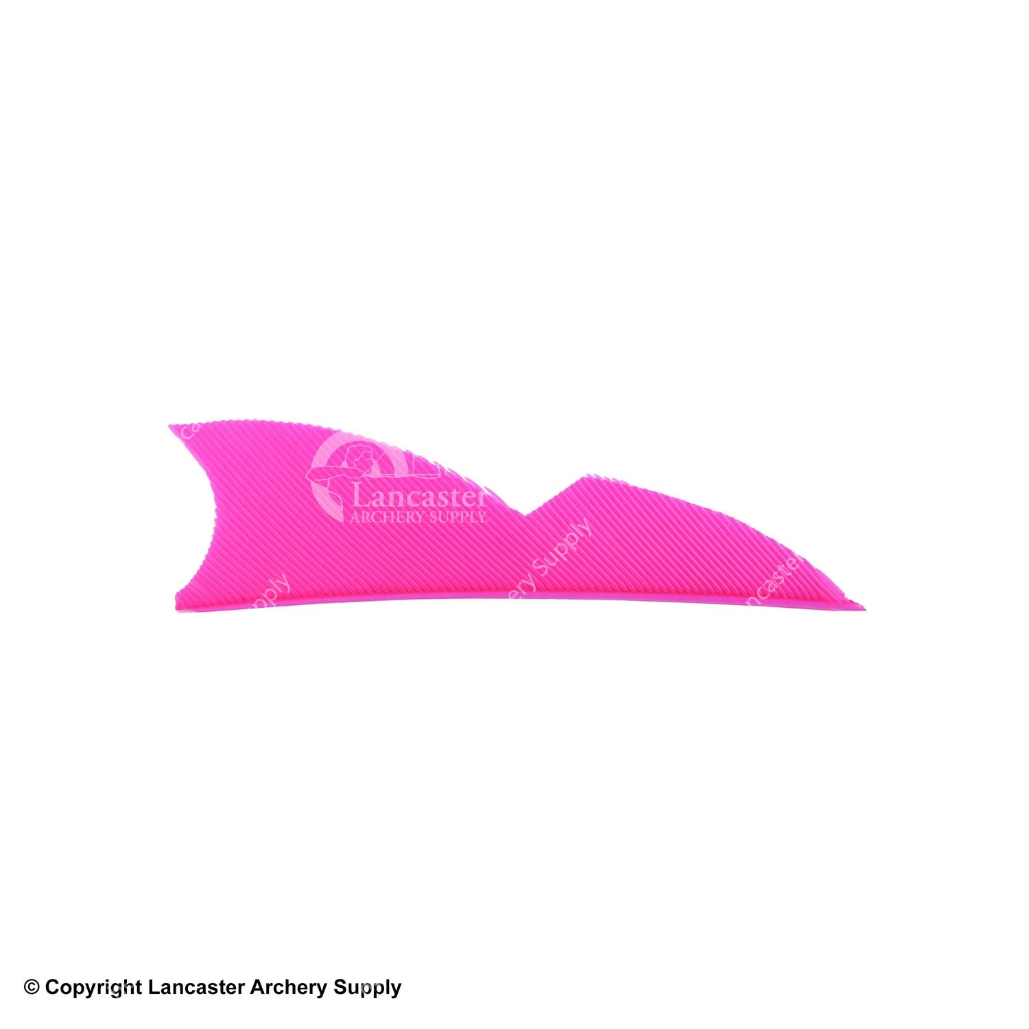 Gateway 2" Batwing Feather - Image 12