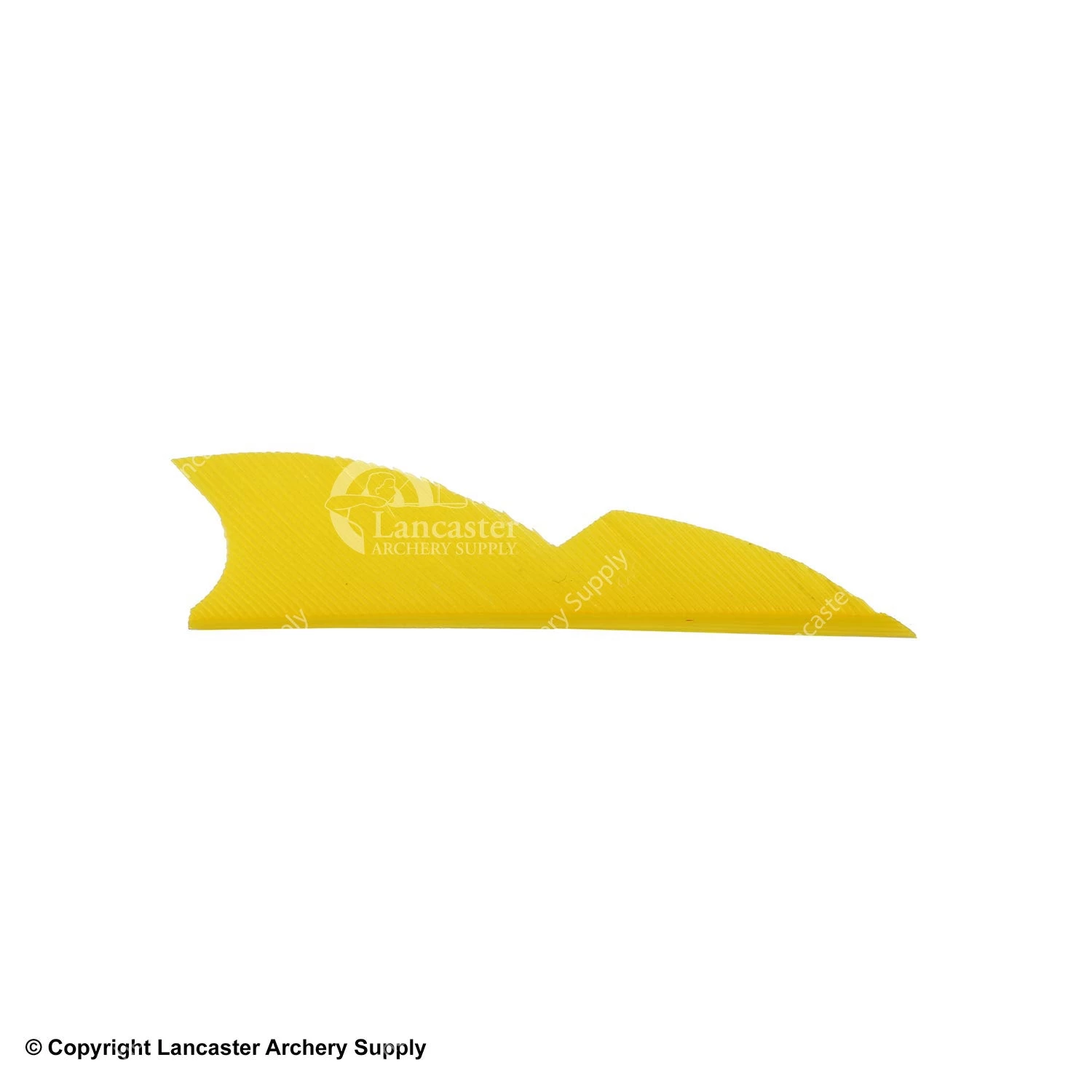 Gateway 2" Batwing Feather - Image 9