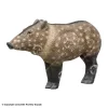 Rinehart Javelina 3D Target (Woodland Series)